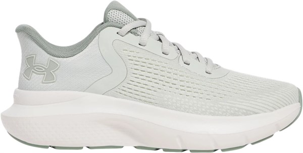 Under Armour Кроссовки UA W Charged Rogue 5 3028262-377-lst