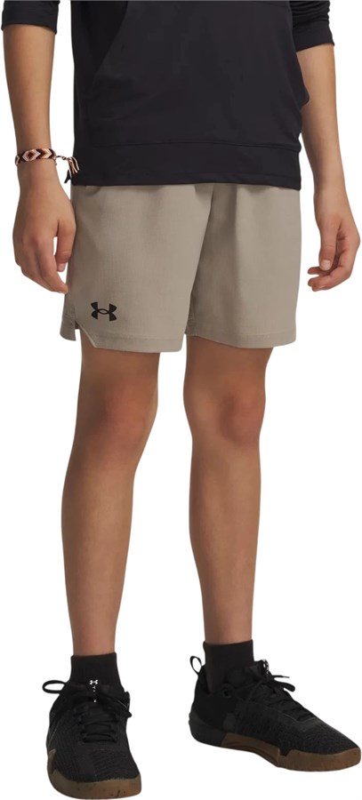 Under Armour Шорты UA Vanish Shorts 1389171-203-lst
