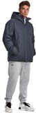 Under Armour Пуховик Ua Cgi Lghtwght Down Jkt 1378840-044-lst