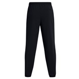 Брюки  Vibe Joggers 1386557-001-1