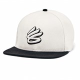 Кепка UA Curry Flatbrim Snapback 1383487-114-1