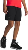 Under Armour Шорты UA Vanish Shorts 1389171-001-lst