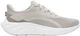 Under Armour Кроссовки UA W Ascend 6009828-069-lst