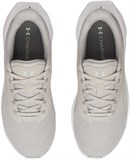 Under Armour Кроссовки UA W Ascend 6009828-069-lst