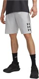 Under Armour Шорты UA Next Gen Short 6011370-014-lst