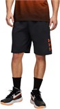 Under Armour Шорты UA Next Gen Short 6011370-016-lst