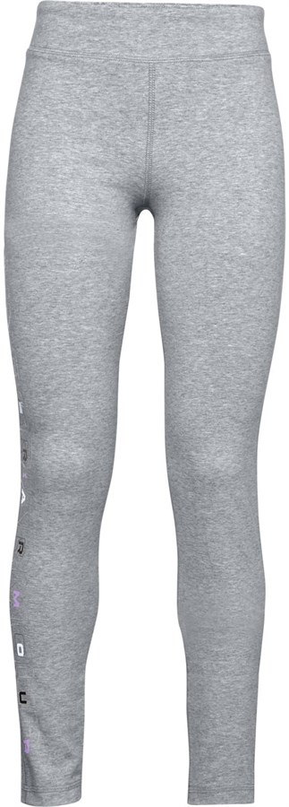 Under Armour Леггинсы Favorites Legging 1356463-035-lst