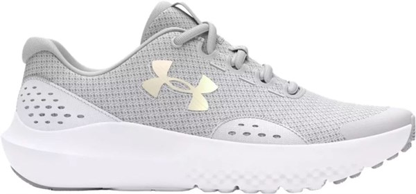 Under Armour Кроссовки UA GGS SURGE 4 3027108-100-lst