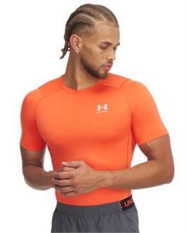 {{productViewItem.photos[photoViewList.activeNavIndex].Alt || productViewItem.photos[photoViewList.activeNavIndex].Description || 'HeatGear® Short SleeveShort Sleeve'}}