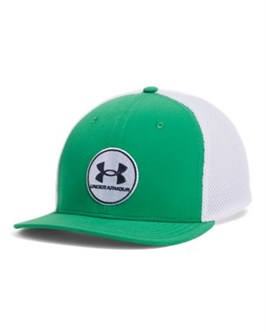 {{productViewItem.photos[photoViewList.activeNavIndex].Alt || productViewItem.photos[photoViewList.activeNavIndex].Description || 'UA Iso-Chill Drive Low StretchFit Cap'}}