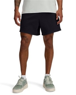 {{productViewItem.photos[photoViewList.activeNavIndex].Alt || productViewItem.photos[photoViewList.activeNavIndex].Description || 'UA Unstoppable Fleece GridShorts'}}