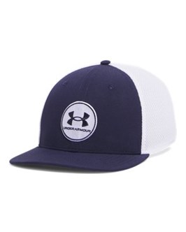 {{productViewItem.photos[photoViewList.activeNavIndex].Alt || productViewItem.photos[photoViewList.activeNavIndex].Description || 'UA Iso-Chill Drive Low StretchFit Cap'}}