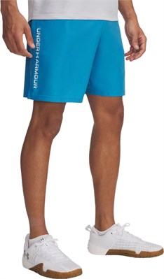 {{productViewItem.photos[photoViewList.activeNavIndex].Alt || productViewItem.photos[photoViewList.activeNavIndex].Description || 'Under Armour Шорты UA Tech Woven Wordmark Short'}}