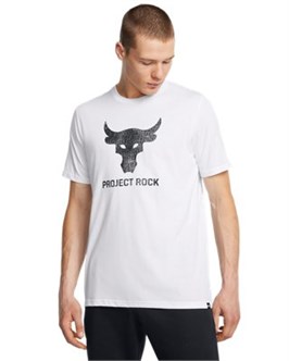 {{productViewItem.photos[photoViewList.activeNavIndex].Alt || productViewItem.photos[photoViewList.activeNavIndex].Description || 'Project Rock Payoff GraphicShort Sleeve'}}
