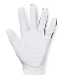 UA MedalGolf Glove 1349705-001