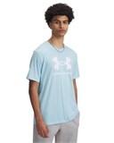 UA LogoShort Sleeve 1382911-494
