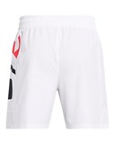 UA Zone WovenShorts 1383391-101