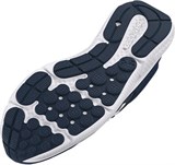 UA Charged Assert 10 Running ShoesRunning Shoes 3026175-400