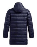 UA Legend DownParka 1385839-410