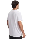 Curry Logo HeavyweightT-Shirt 1387107-100