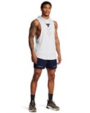 Project Rock Ultimate5" Training Shorts 1384217-410