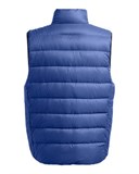 UA Legend DownVest 1385838-432