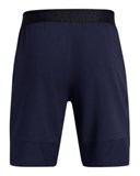 UA Vanish WovenShorts 1370382-410