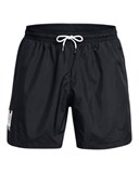 UA Woven PrideVolley Shorts 1383349-001