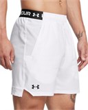 UA Vanish Woven 6" Shorts6" Shorts 1373718-100