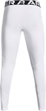 ColdGear®Leggings 1366075-100