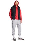 UA Icon FleeceHoodie 1373880-713