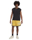 UA Courtside HoopsShorts 1390120-773