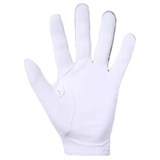 UA MedalGolf Glove 1349705-035