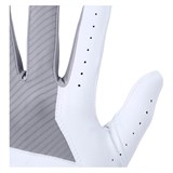UA MedalGolf Glove 1349705-035