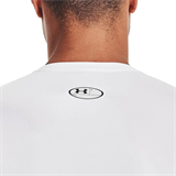 HeatGear®Long Sleeve 1361524-100