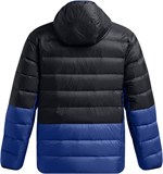 Under Armour Куртка Legend Down Hooded Jacket 1385837-002-lst