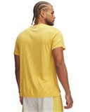 UA Trail RunShort Sleeve 1389807-773