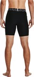 Under Armour Шорты HeatGear Shorts 1361596-001-lst