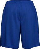 Under Armour Шорты UA Tech Mesh Shorts 22.5Cm 1328705-400-lst