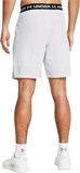 Under Armour Шорты UA Vanish Woven 8in Shorts 1370382-014-lst