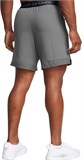 Under Armour Шорты UA Vanish Woven 6in Shorts 1373718-027-lst