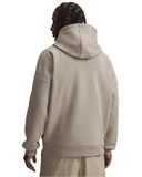 UA Icon Heavyweight ColorblockedHoodie 6009390-203