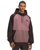 UA Icon Heavyweight ColorblockedHoodie 6009390-246