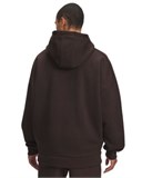UA Icon Heavyweight ColorblockedHoodie 6009390-246