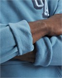 UA Icon Fleece GraphicHoodie 6007591-418