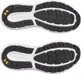 Under Armour Кроссовки UA Charged Rogue 5 3028256-025-lst