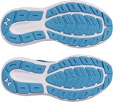 Under Armour Кроссовки UA W Charged Rogue 5 3028262-101-lst