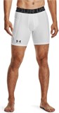 Under Armour Шорты HeatGear Shorts 1361596-100-lst