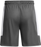 Under Armour Шорты UA Baseline Short 1383389-025-lst