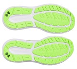 UA Rogue 5Running Shoes 3028256-101